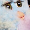 furb-yeah avatar