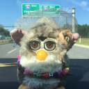 furbez avatar