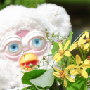 furbia avatar