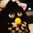 furbsarefriends avatar
