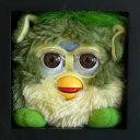 furby-adoption-agency avatar