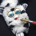 furby-burby-blog avatar