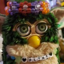 furby-carousel avatar