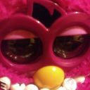 furby-goblin avatar