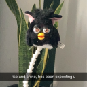 furbyatemylunch avatar