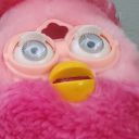 furbybirb avatar
