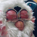 furbychirps avatar