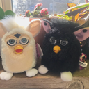 furbycottage avatar