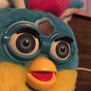 furbydad avatar