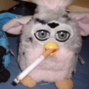 furbyfawn-blog avatar