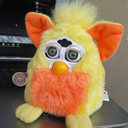 furbylemonbaby avatar