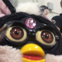 furbyliciousblog avatar