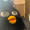 furbymania avatar