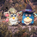 furbyphotography avatar