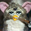 furbytaxidermy avatar