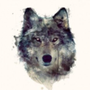 furflurry avatar