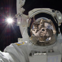 furiouscyclewombat avatar