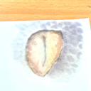 furiousdreamerlove avatar