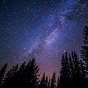 furiousempathpursecookie avatar