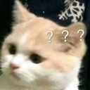 furiouspancakethesequel avatar