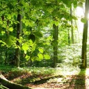 furiousranchneckland avatar