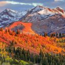 furkan-27s-blog avatar