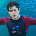 furrybouquetdearry avatar