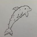 furrydolphin avatar