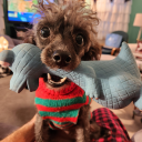 furryfartmoon avatar