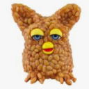 furryfurbyfaces avatar