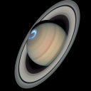 furrykidgiver avatar