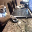 futura---free avatar