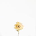 future--hearts avatar