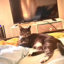 futureauthor24 avatar