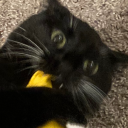 futurecatlady97 avatar