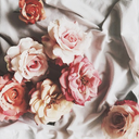 futuredreamhouses avatar