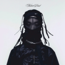 futuredustarchives avatar