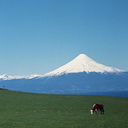 futureghostie avatar