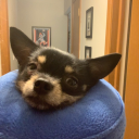 futurenobleaddictions avatar