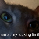 futurequeenofyourheart avatar