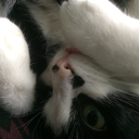 futurespaceprincess avatar