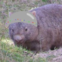 futuristicallyfatwombat avatar