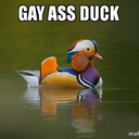 futuristicallygayduck avatar