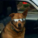 futuristicallygroovybouquetblog avatar