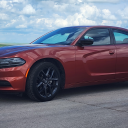 futuristicbanditponyneck avatar