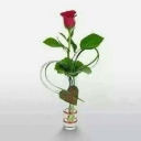 futuristiccoloreggsscissors avatar