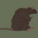 futuristiccreationzombie avatar