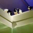 futuristicrunawaygardener avatar