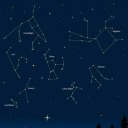 futuristicsaladsheep avatar