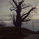 fuuck-you-i-hate-people avatar